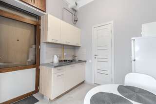 Апартаменты Midwheel Apartment 9 Львов Апартаменты с 1 спальней-17